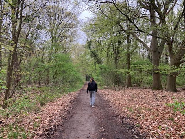 Stacaravan Huren In Het Hart Van Bosrijk Drenthe Op Recreatiepark De Tien Heugten Schoonloo Bagian luar foto