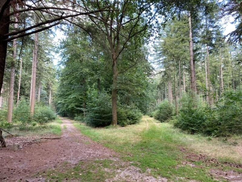 Stacaravan Huren In Het Hart Van Bosrijk Drenthe Op Recreatiepark De Tien Heugten Schoonloo Bagian luar foto