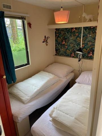 Stacaravan Huren In Het Hart Van Bosrijk Drenthe Op Recreatiepark De Tien Heugten Schoonloo Bagian luar foto