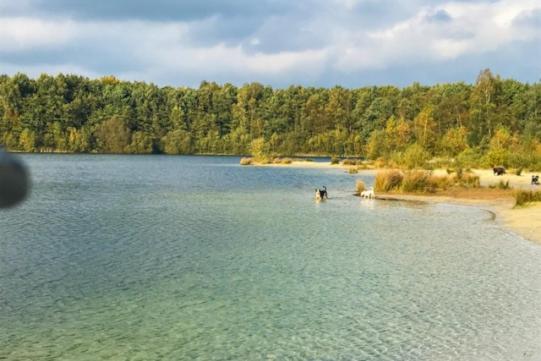 Stacaravan Huren In Het Hart Van Bosrijk Drenthe Op Recreatiepark De Tien Heugten Schoonloo Bagian luar foto